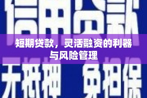 平南短期贷款，灵活融资的利器与风险管理