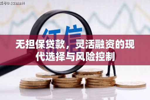 平南无担保贷款，灵活融资的现代选择与风险控制