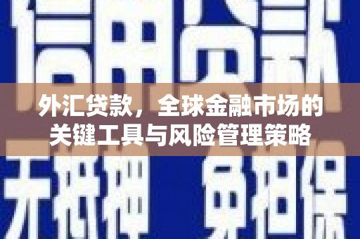 平南外汇贷款，全球金融市场的关键工具与风险管理策略