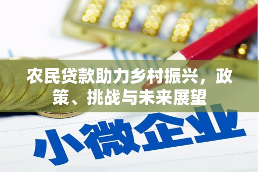 平南农民贷款助力乡村振兴，政策、挑战与未来展望
