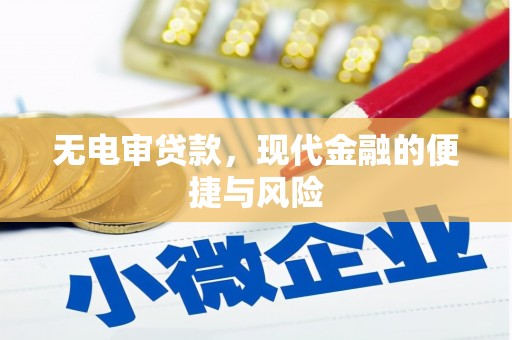 平南无电审贷款，现代金融的便捷与风险