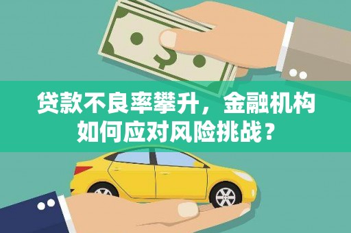 平南贷款不良率攀升，金融机构如何应对风险挑战？