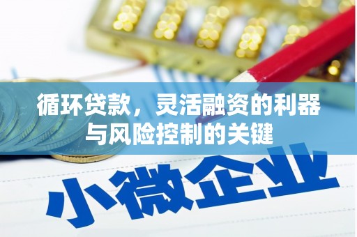 平南循环贷款，灵活融资的利器与风险控制的关键