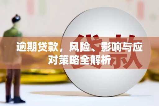 平南逾期贷款，风险、影响与应对策略全解析