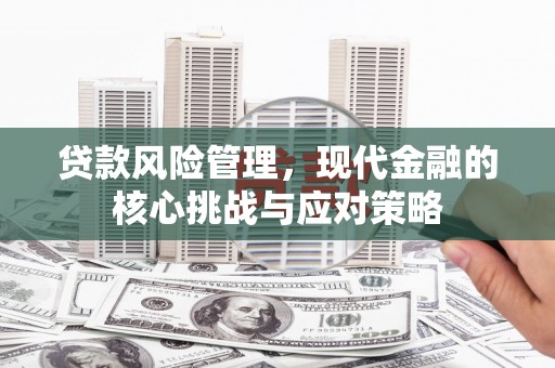 平南贷款风险管理，现代金融的核心挑战与应对策略