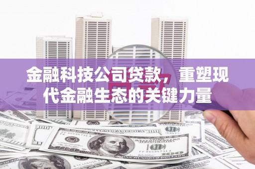 平南金融科技公司贷款，重塑现代金融生态的关键力量