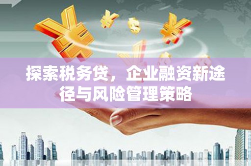 平南探索税务贷，企业融资新途径与风险管理策略