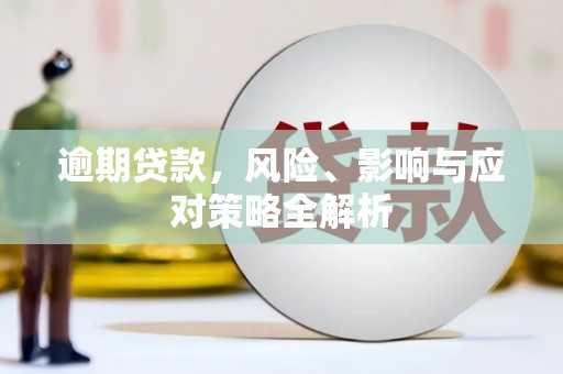 平南逾期贷款，风险、影响与应对策略全解析