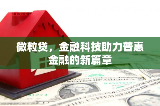 平南微粒贷，金融科技助力普惠金融的新篇章