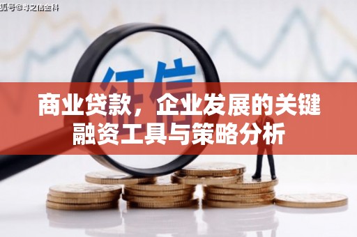 平南商业贷款，企业发展的关键融资工具与策略分析