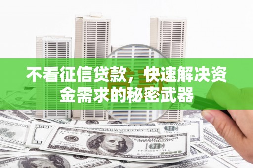 平南不看征信贷款，快速解决资金需求的秘密武器
