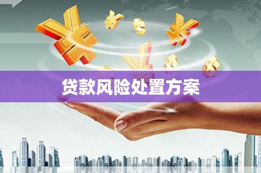 平南贷款风险处置方案