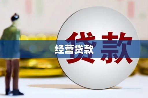平南经营贷款