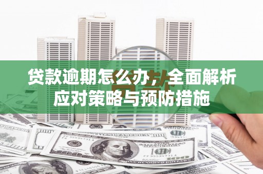 平南贷款逾期怎么办，全面解析应对策略与预防措施