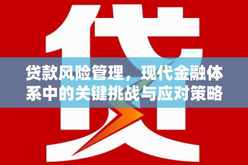平南贷款风险管理，现代金融体系中的关键挑战与应对策略