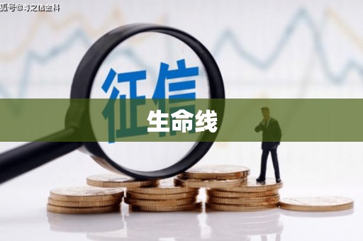 平南生命线