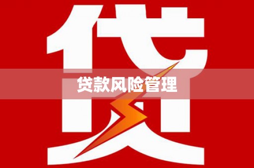 平南贷款风险管理