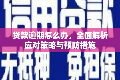 平南贷款逾期怎么办，全面解析应对策略与预防措施