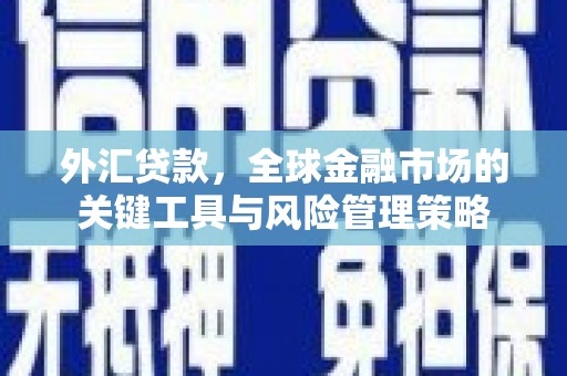 平南外汇贷款，全球金融市场的关键工具与风险管理策略
