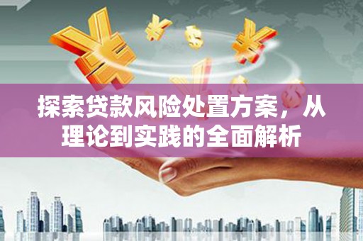 平南探索贷款风险处置方案，从理论到实践的全面解析