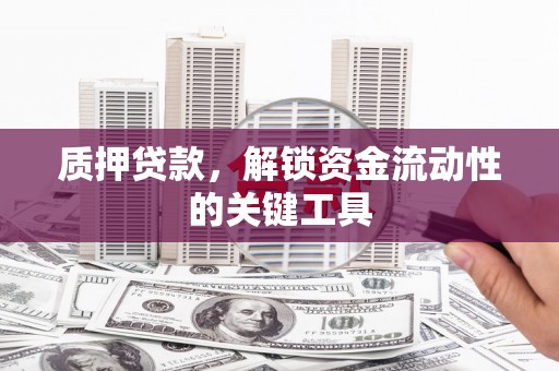 平南质押贷款，解锁资金流动性的关键工具
