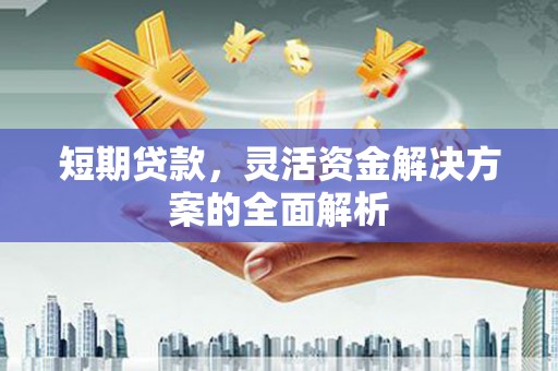 平南短期贷款，灵活资金解决方案的全面解析