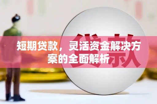 平南短期贷款，灵活资金解决方案的全面解析