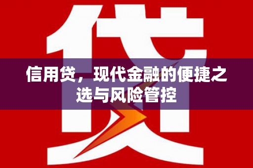 平南信用贷，现代金融的便捷之选与风险管控