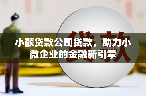 平南小额贷款公司贷款，助力小微企业的金融新引擎