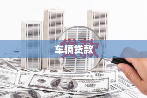 平南车辆贷款