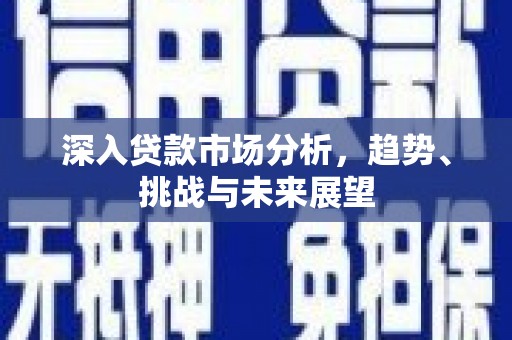 平南深入贷款市场分析，趋势、挑战与未来展望