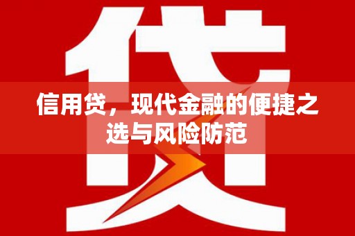 平南信用贷，现代金融的便捷之选与风险防范