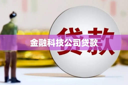 平南金融科技公司贷款