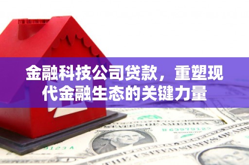平南金融科技公司贷款，重塑现代金融生态的关键力量