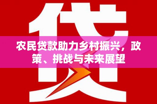 平南农民贷款助力乡村振兴，政策、挑战与未来展望