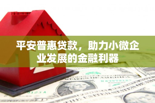 平南平安普惠贷款，助力小微企业发展的金融利器