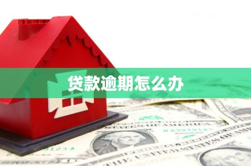 平南贷款逾期怎么办