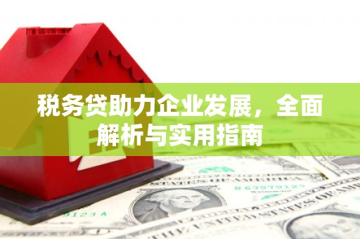 平南税务贷助力企业发展，全面解析与实用指南