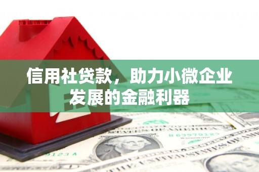 平南信用社贷款，助力小微企业发展的金融利器