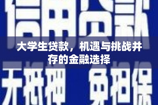 平南大学生贷款，机遇与挑战并存的金融选择