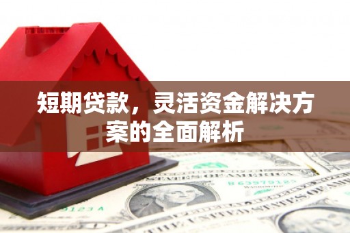 平南短期贷款，灵活资金解决方案的全面解析
