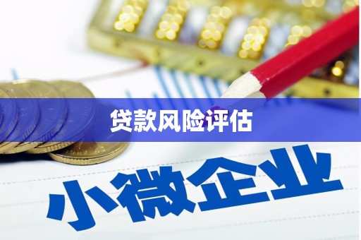 平南贷款风险评估
