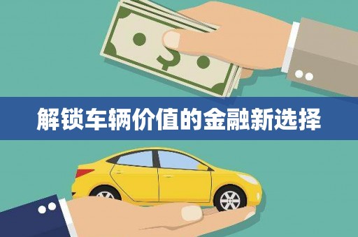 平南解锁车辆价值的金融新选择