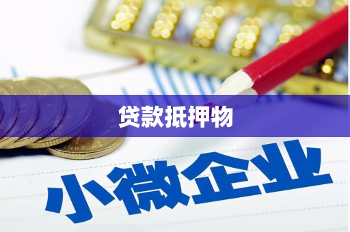 平南贷款抵押物