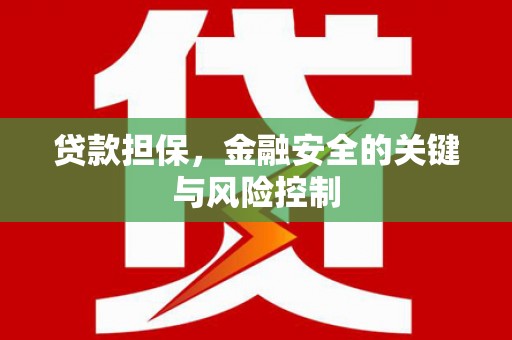 平南贷款担保，金融安全的关键与风险控制