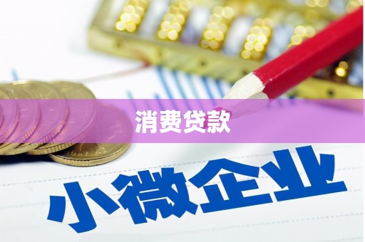 平南消费贷款