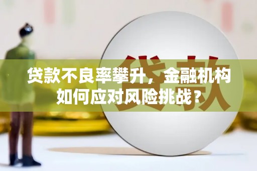 平南贷款不良率攀升，金融机构如何应对风险挑战？