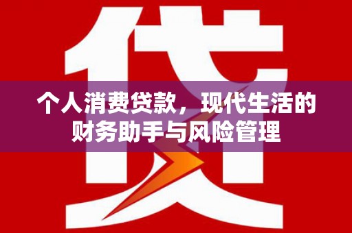 平南个人消费贷款，现代生活的财务助手与风险管理