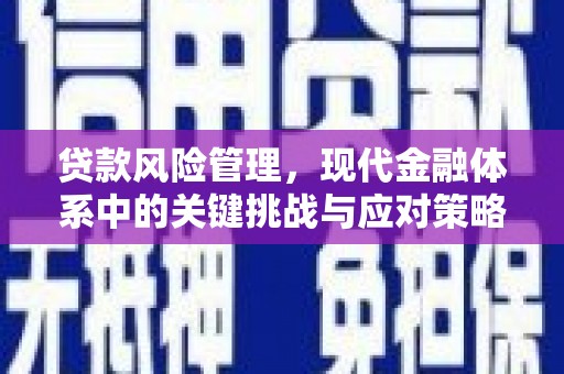 平南贷款风险管理，现代金融体系中的关键挑战与应对策略