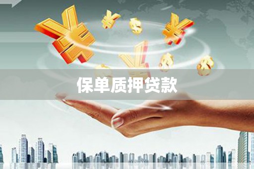 平南保单质押贷款